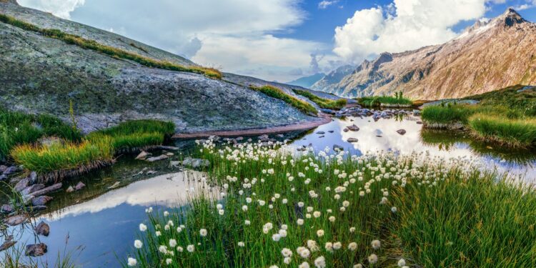 Gigerwaldsee – Eine Oase inmitten der Schweizer Alpen